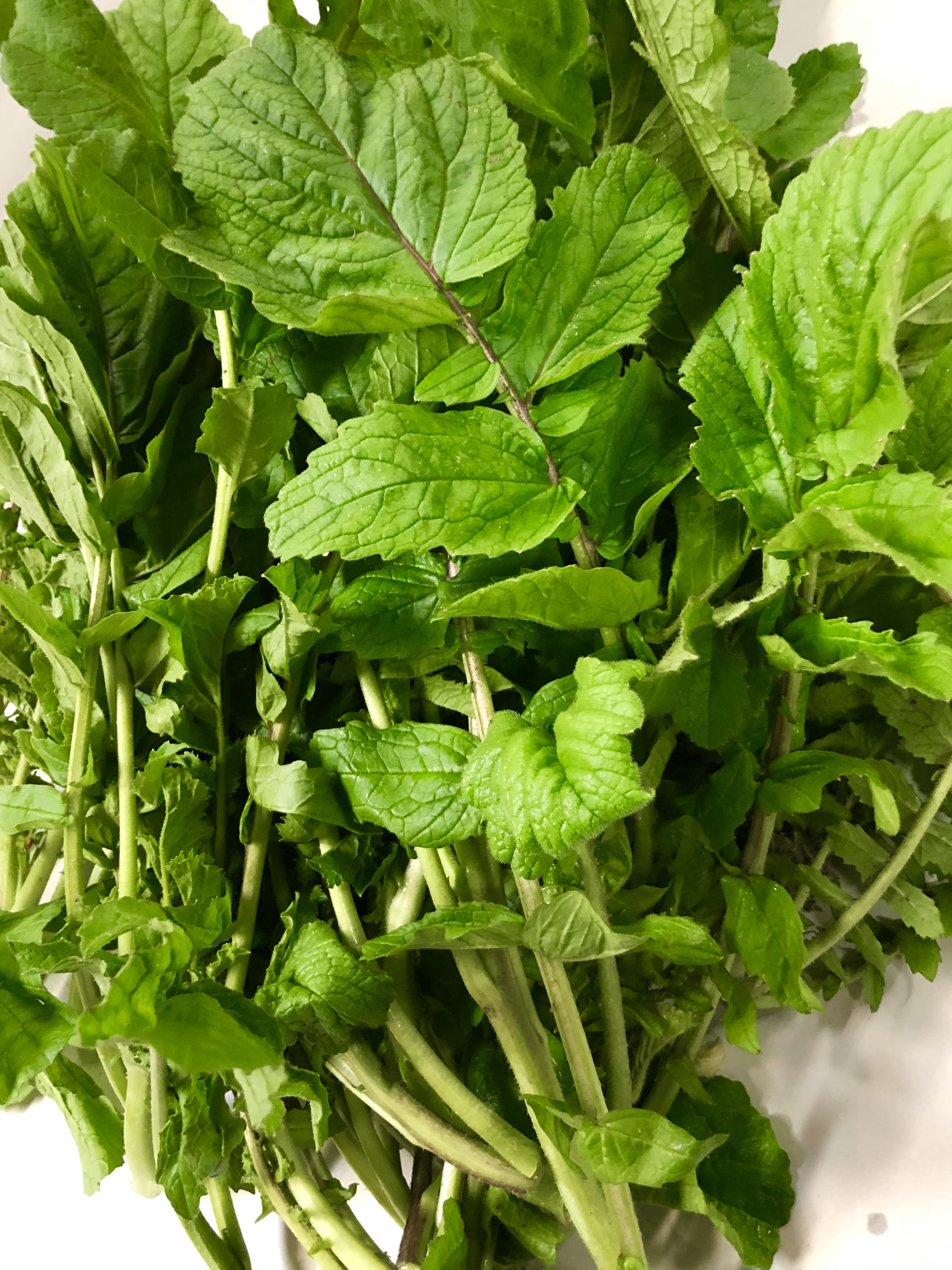 Mikuni Wild Harvest Wild Greens